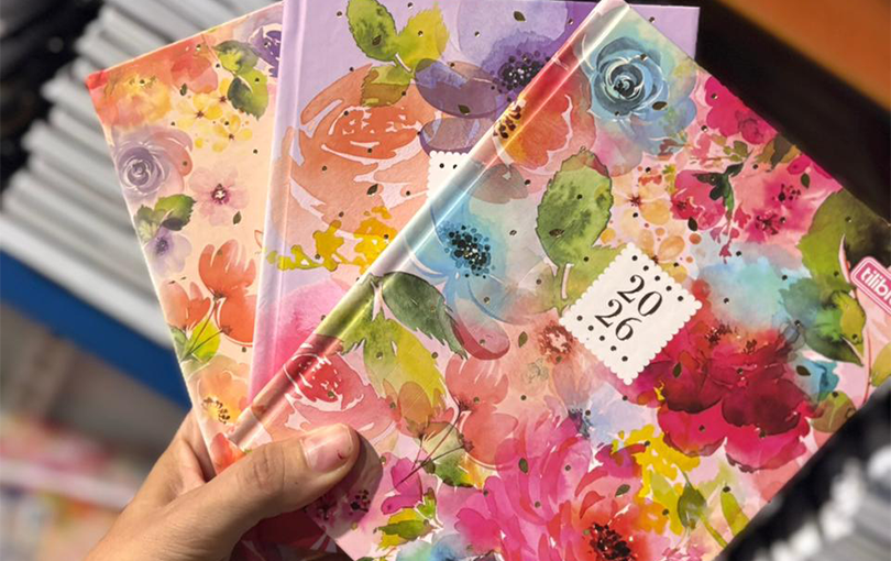 Qual é a melhor opção de planner para você?